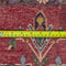 Oriental Shirwan Persian Pure Wool Rug, Dark Red and Blue, 5'5" x 8'