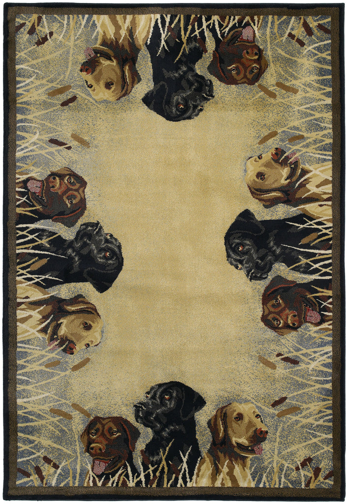 United Weaver Hautman Labs In Marsh Area Rug