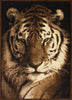 United Weaver Legends Tiger Portrait Area Rug