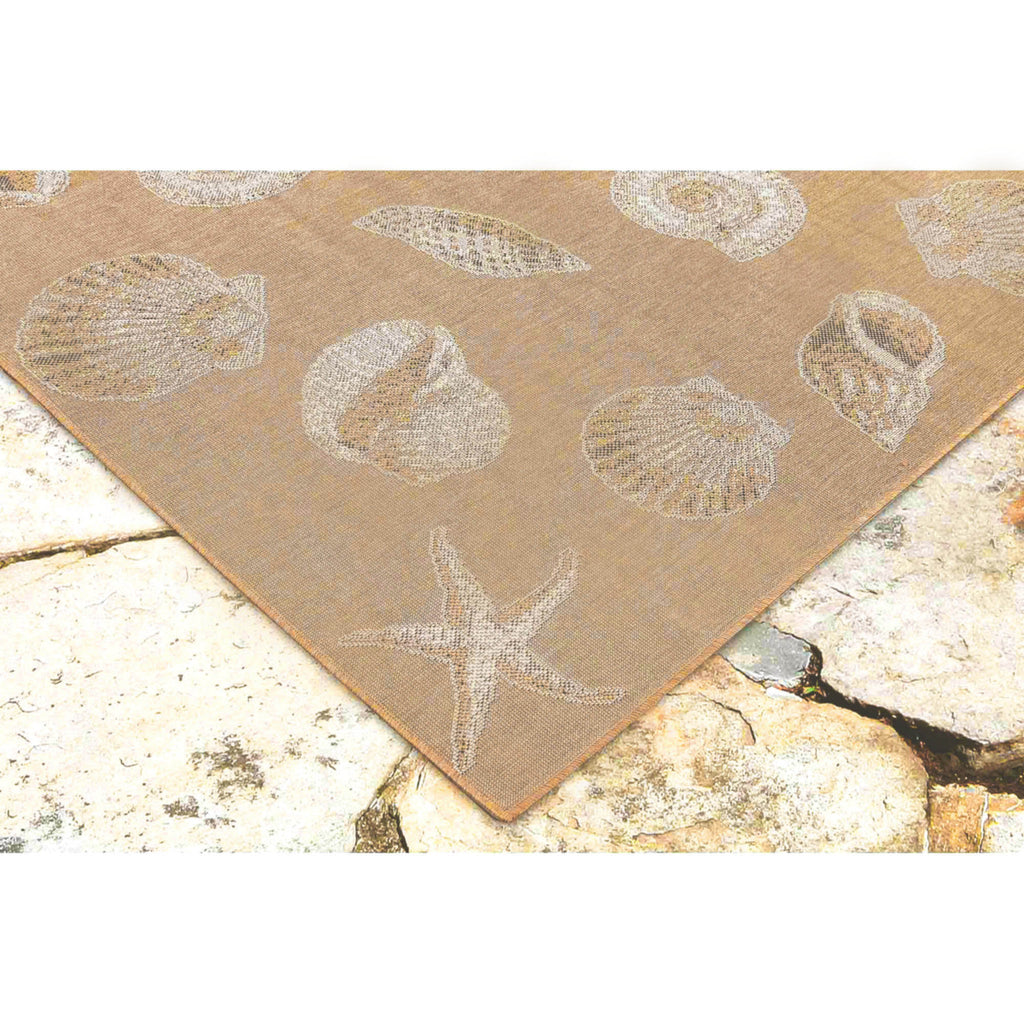 Trans Ocean Carmel Shells Area Rug