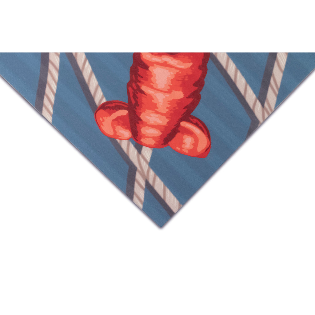 Trans Ocean Illusions Lobster Net Area Rug