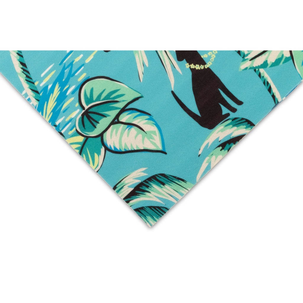 Trans Ocean Illusions Aloha Dogs Area Rug