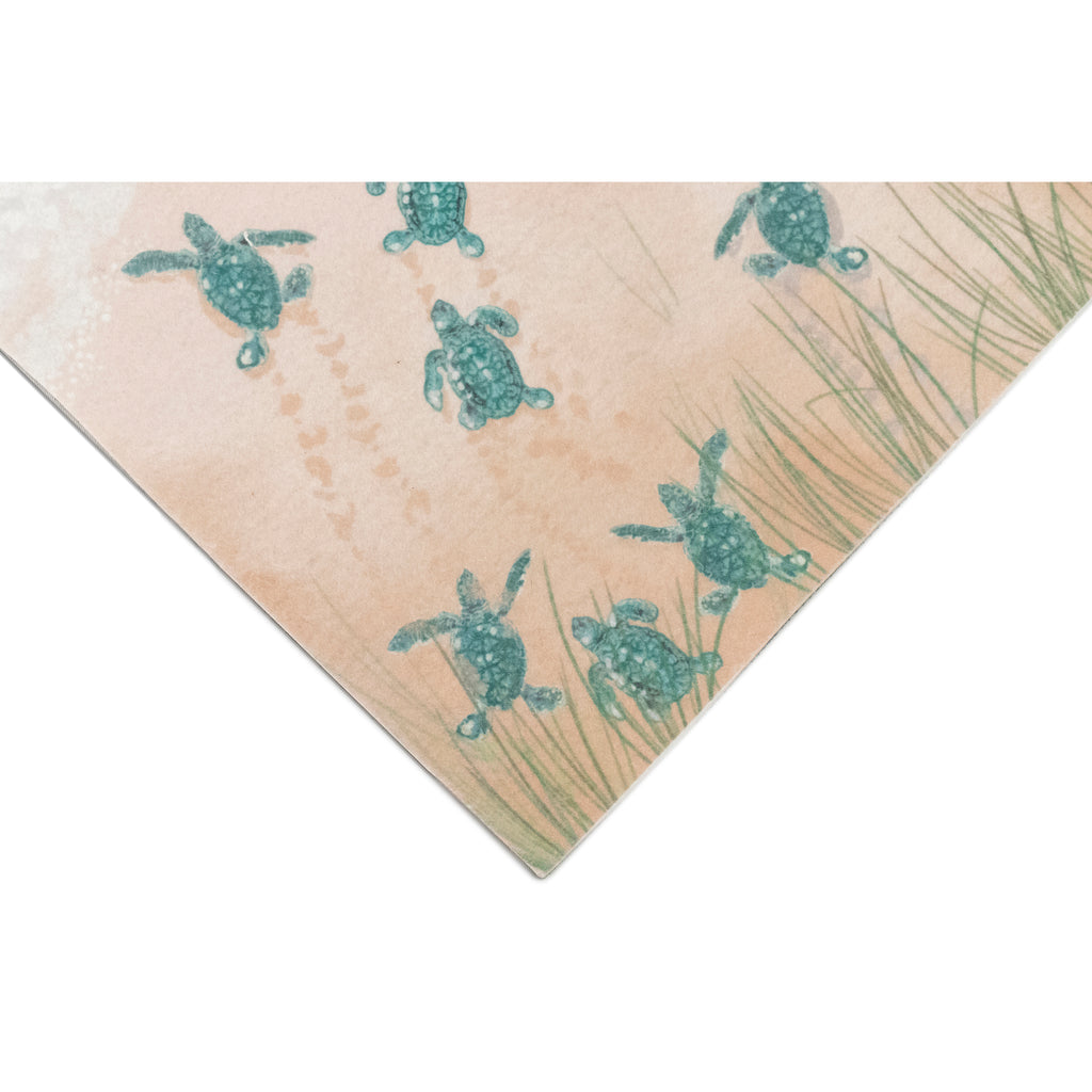 Trans Ocean Illusions Turtle Beach Area Rug