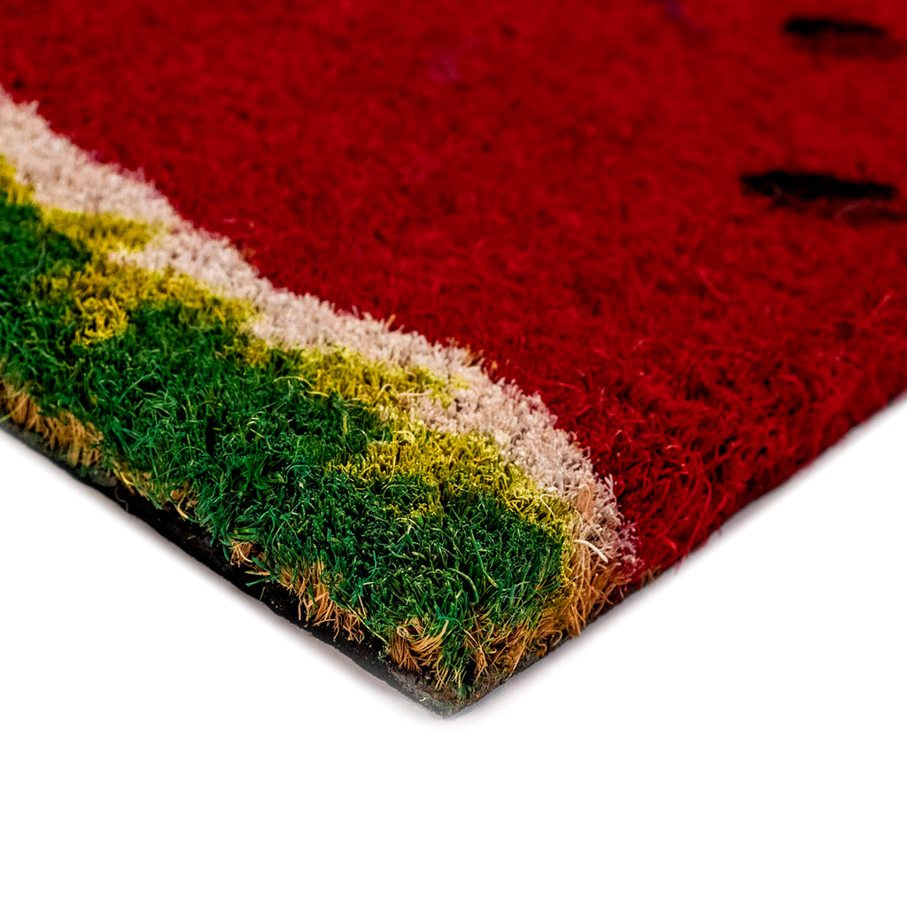 Trans Ocean Natura Watermelon Area Rug