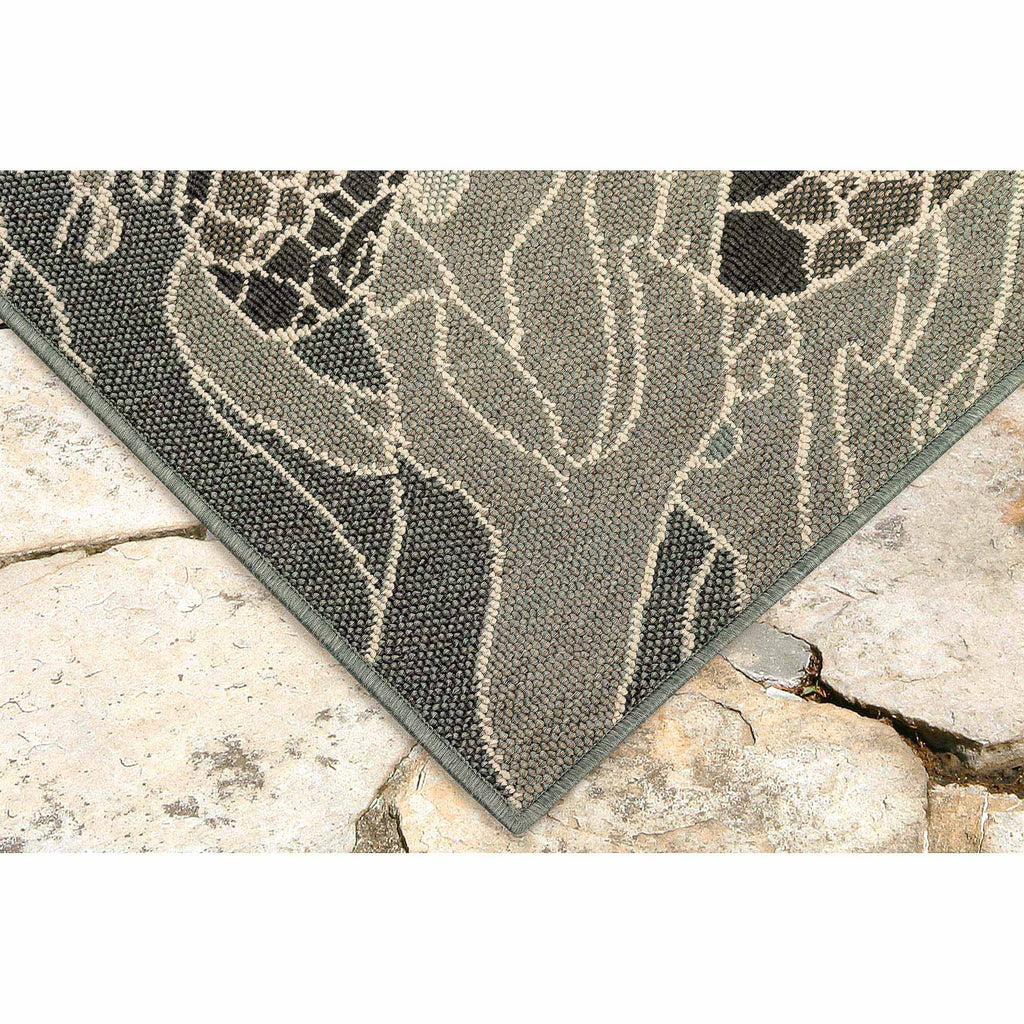Trans Ocean Riviera Seaturtles Area Rug