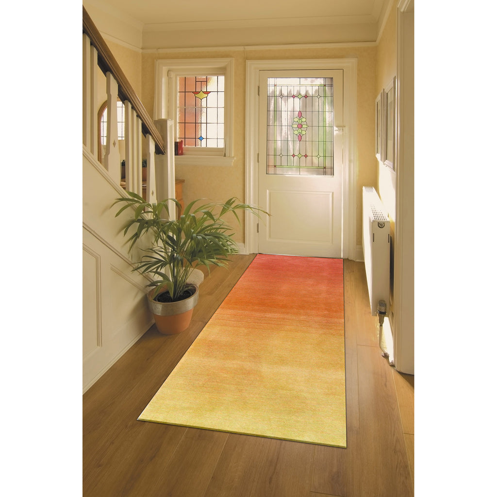 Trans Ocean Arca Ombre Area Rug