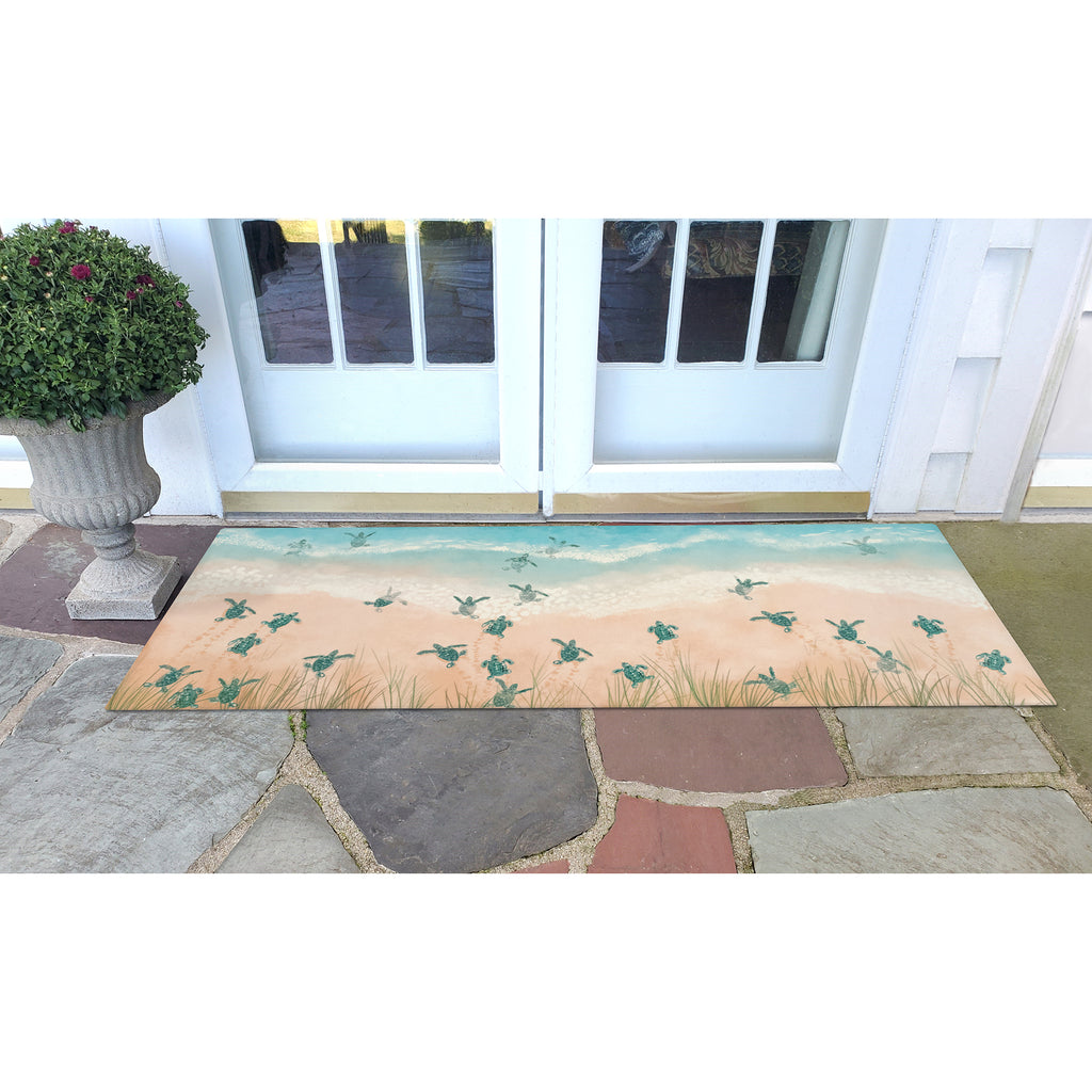 Trans Ocean Illusions Turtle Beach Area Rug