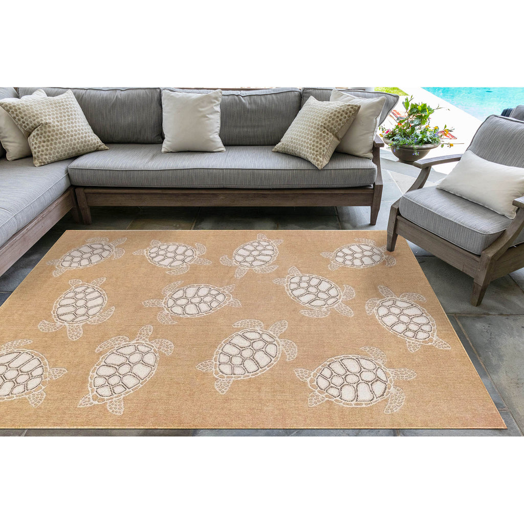 Trans Ocean Carmel Seaturtles Area Rug