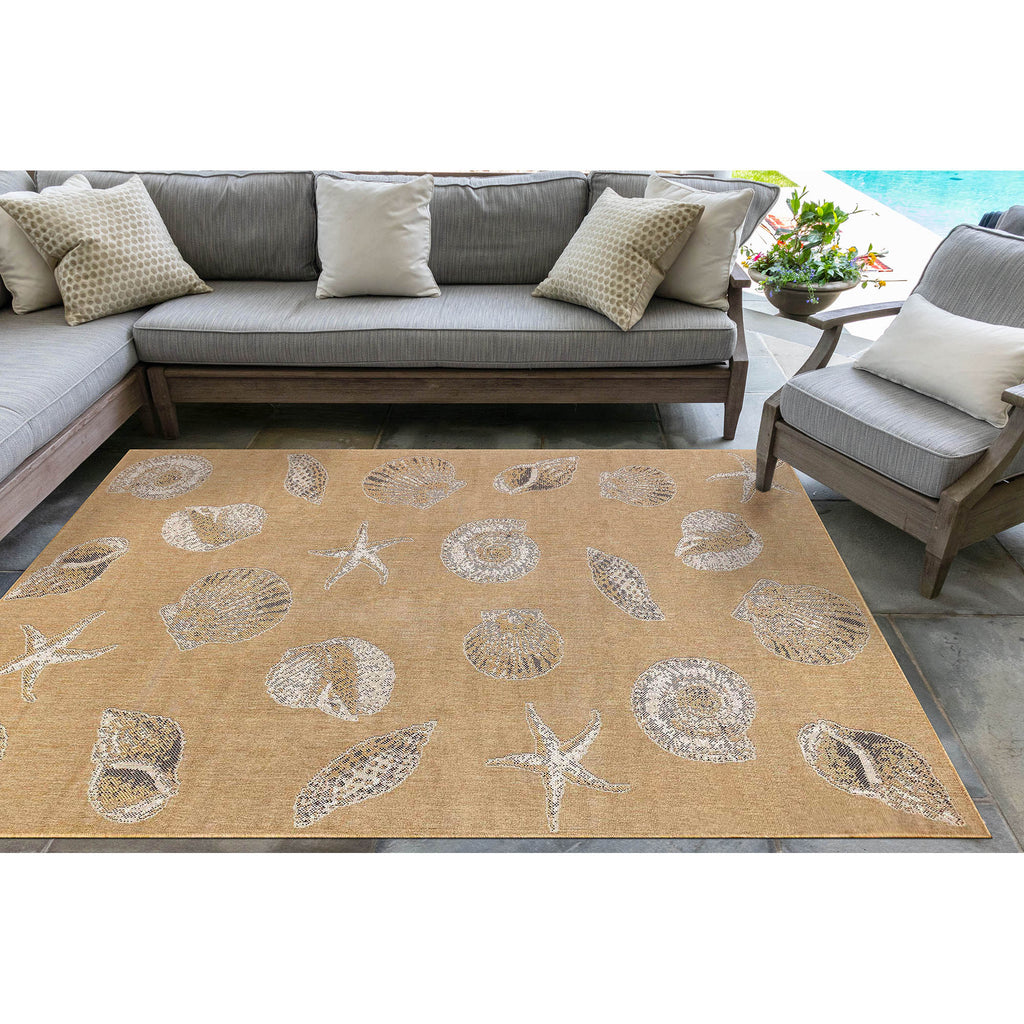 Trans Ocean Carmel Shells Area Rug