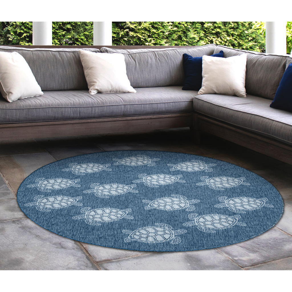 Trans Ocean Carmel Seaturtles Area Rug