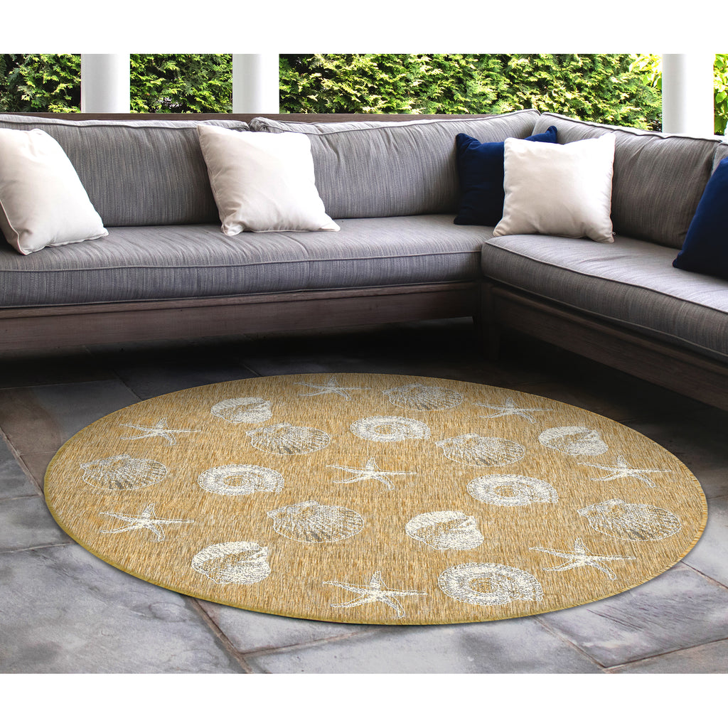 Trans Ocean Carmel Shells Area Rug