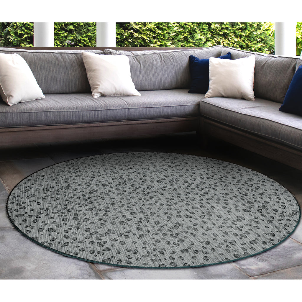 Trans Ocean Carmel Leopard Area Rug