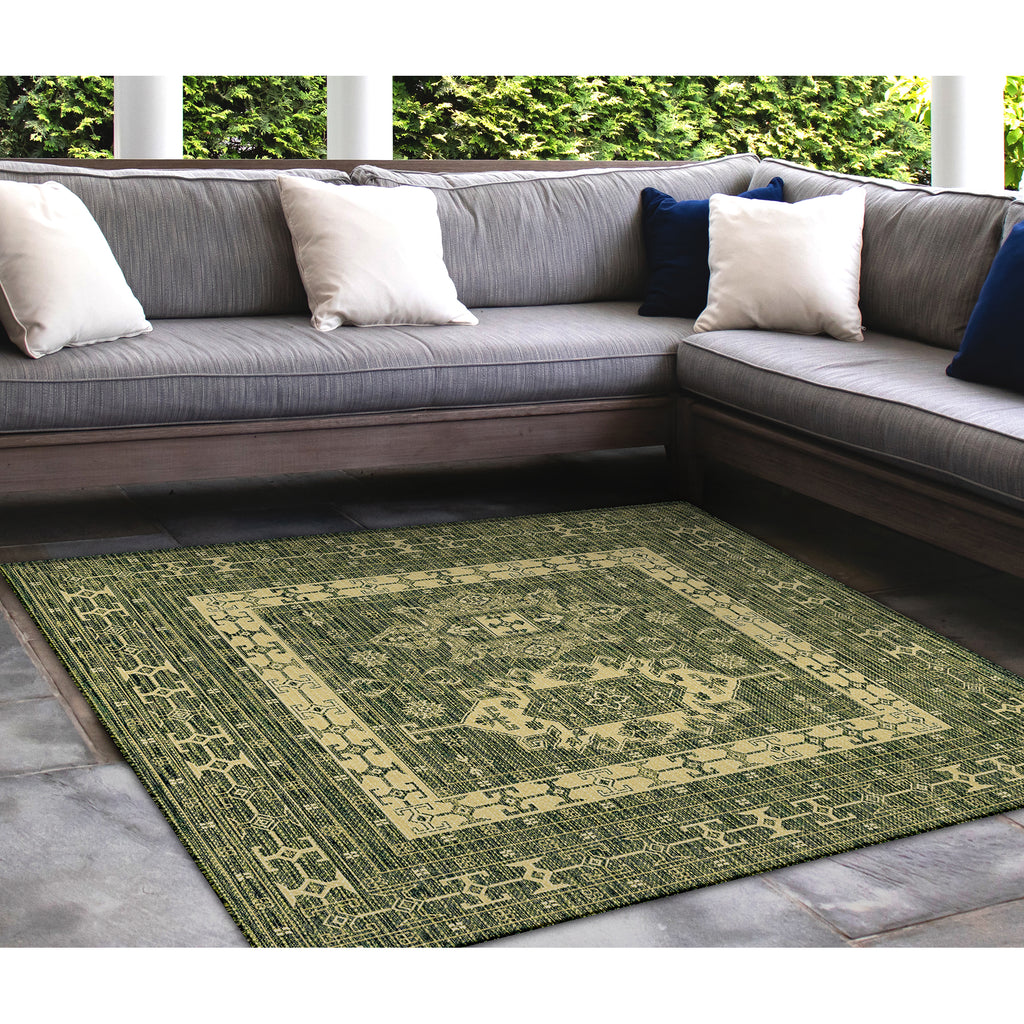 Trans Ocean Carmel Kilim Area Rug