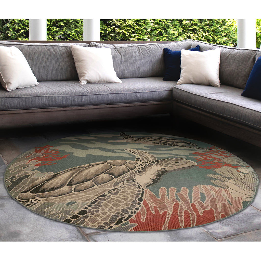 Trans Ocean Riviera Seaturtles Area Rug