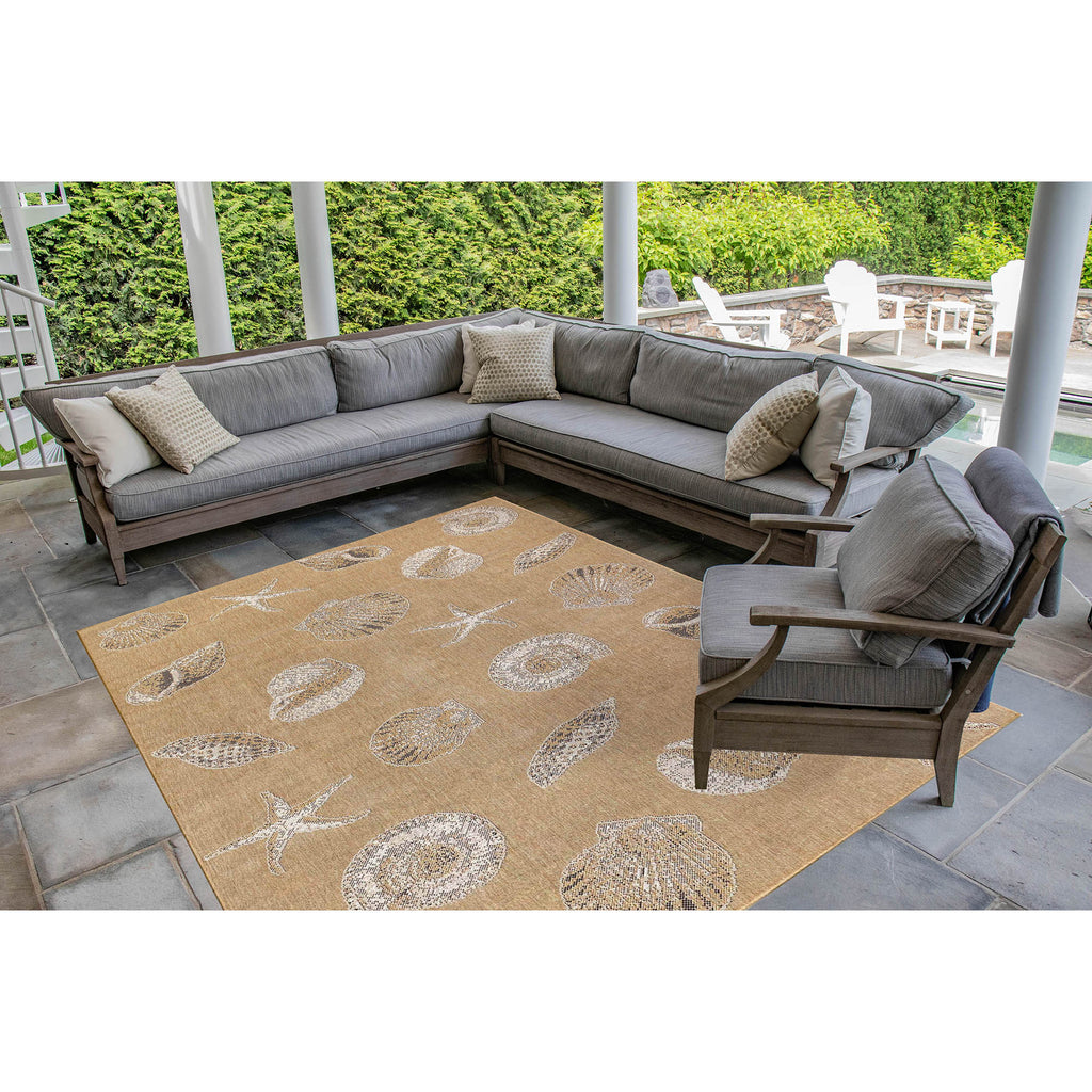 Trans Ocean Carmel Shells Area Rug