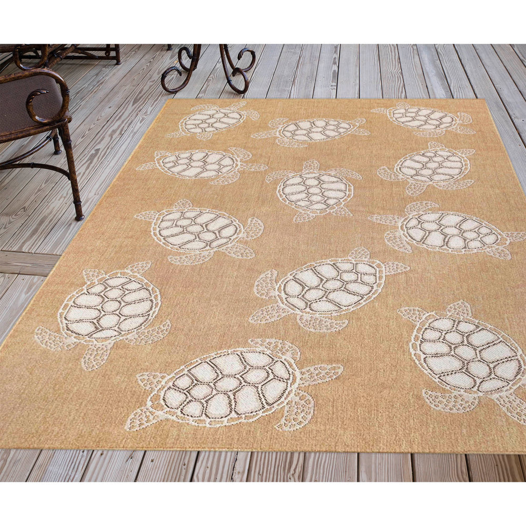 Trans Ocean Carmel Seaturtles Area Rug
