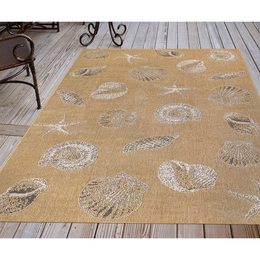 Trans Ocean Carmel Shells Area Rug