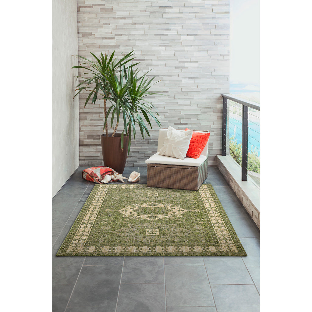 Trans Ocean Carmel Kilim Area Rug