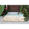 Trans Ocean Illusions Turtle Beach Area Rug