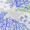 Dalyn Seabreeze SZ1 Lavender Area Rug