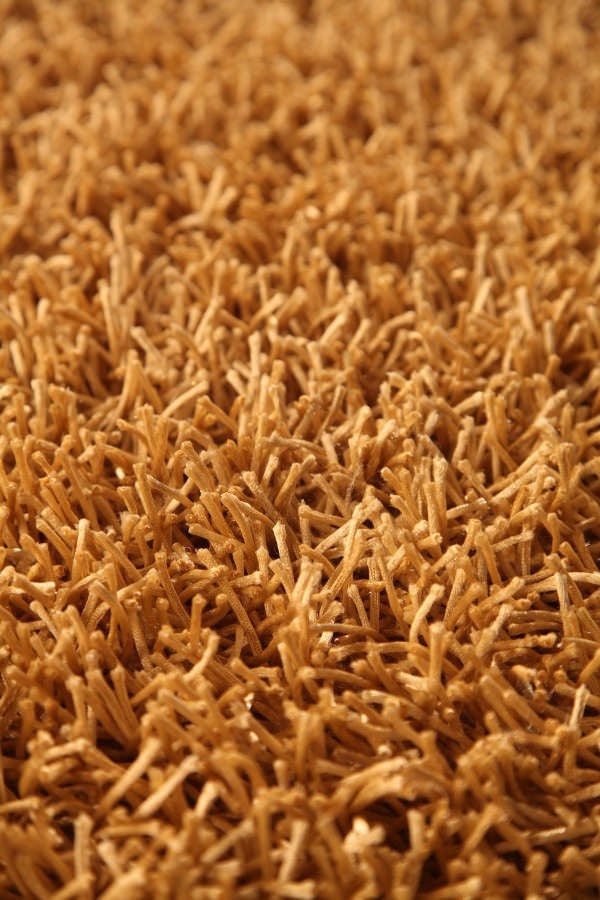 MAT Orange 6P Palo Area Rug