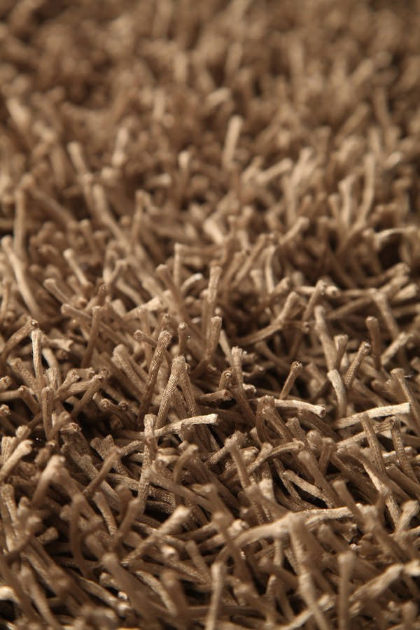 MAT Orange 6P Palo Area Rug