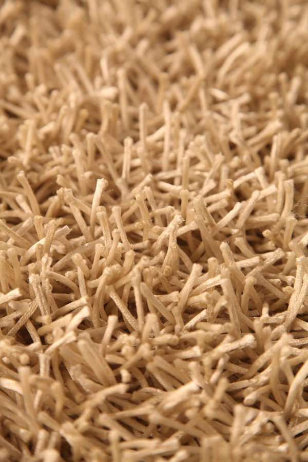 MAT Orange 6P Palo Area Rug